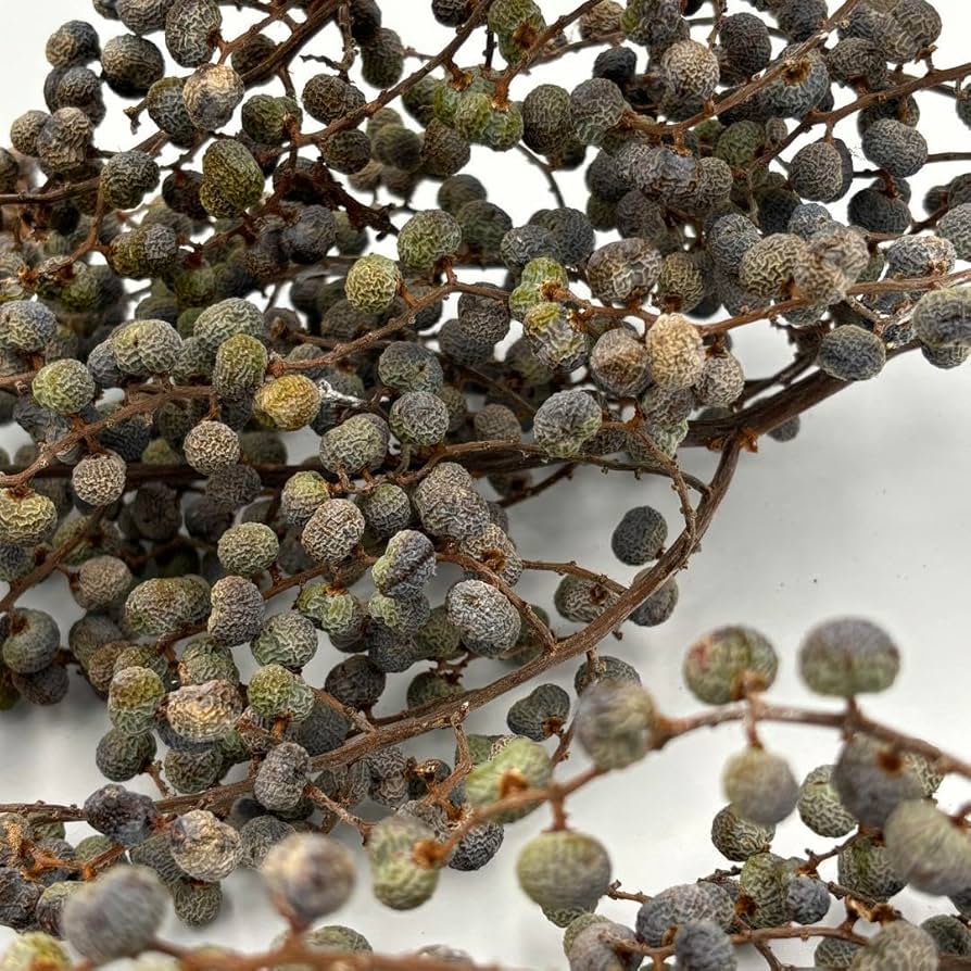 人気，限定セール】 完売 希少＊高級花材【棕櫚の実＊シュロの実】